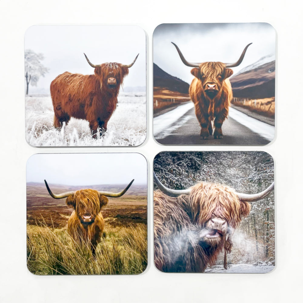 Highland Cow Coasters - Set of 4