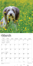Load image into Gallery viewer, Bearded Collies 2024 16-Month Calendar
