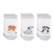 Load image into Gallery viewer, Little Paws Baby Socks - 3 pack

