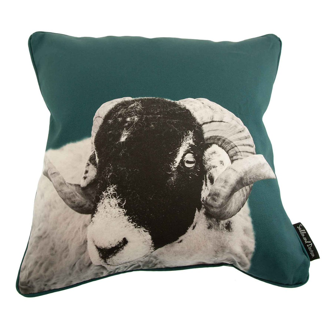 Seddon and Davison Swaledale Sheep Cushion Cover
