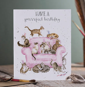 'A Purrrfect Birthday' Cat Birthday Card