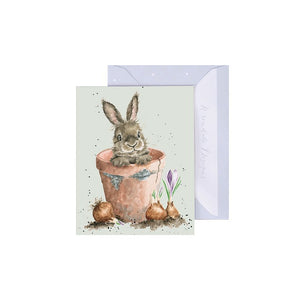 'Flower Pot Bunny' Mini Gift Card