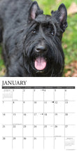 Load image into Gallery viewer, Just Scotties 2024 18-Month Calendar
