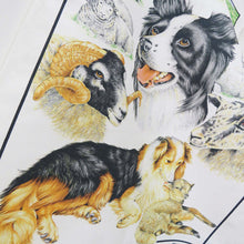 Load image into Gallery viewer, Collie Sheep Dog Tea Towel
