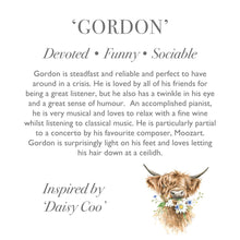 Load image into Gallery viewer, &#39;Gordon Junior&#39; Highland Cow Plush Toy
