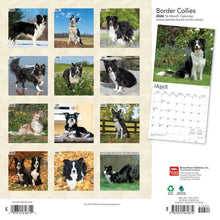 Load image into Gallery viewer, Border Collies 2024 16-Month Calendar
