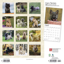 Load image into Gallery viewer, Cairn Terriers 2024 16-Month Calendar
