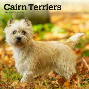 Cairn Terriers 2024 16-Month Calendar