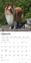 Load image into Gallery viewer, Collies 2024 16-Month Calendar
