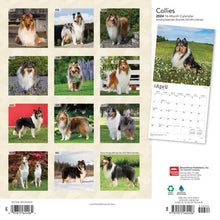 Load image into Gallery viewer, Collies 2024 16-Month Calendar
