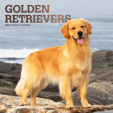 Load image into Gallery viewer, Golden Retrievers  2024 16-Month Calendar
