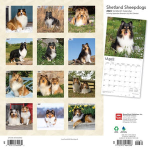 Shetland Sheepdogs 2024 16-Month Calendar