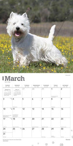 West Highland WhiteTerriers 2024 16-Month Calendar