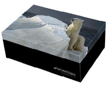 Load image into Gallery viewer, Bateman Polar Bears Mug Pair
