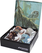 Load image into Gallery viewer, Bateman Owls Set of 4 Mugs
