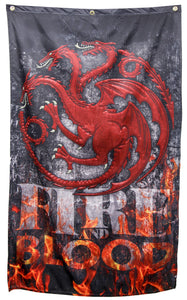 Game of Thrones - Fire and Blood Indoor Banner