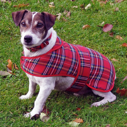 Royal Stewart Tartan Dog Coat - Large
